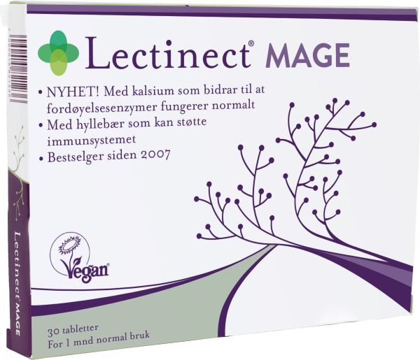 Lectinect Mage